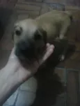 Luck