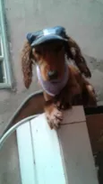 Barnei