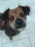 Nina