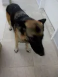 Não sei