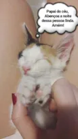 Nina