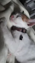Nina