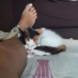Nina