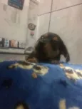 Bilbo