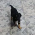Vivi