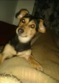 Anita