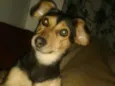 Anita