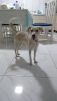 Julieta