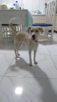 Julieta
