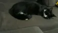 Menino