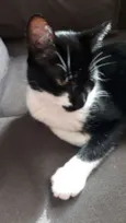 Menino