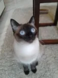 Sophie