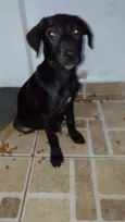 Cloe