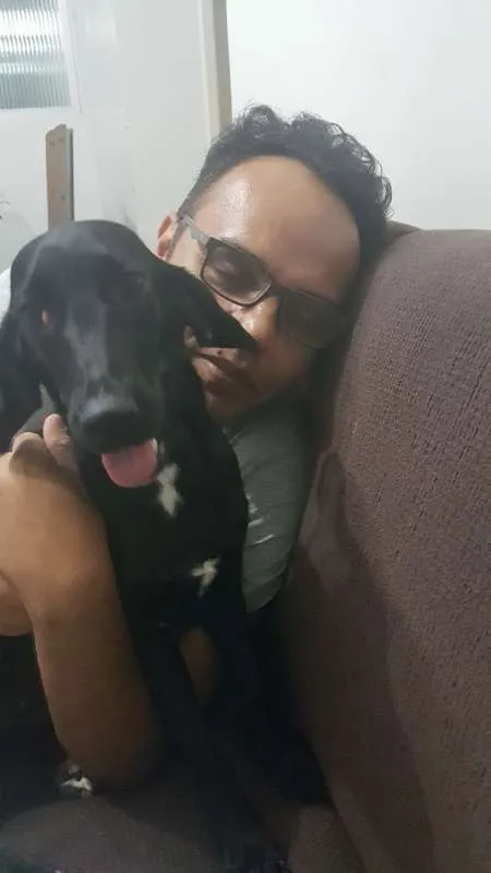 Cachorro raça SRD idade 7 a 11 meses nome Maggie