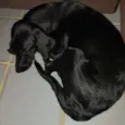 Maggie