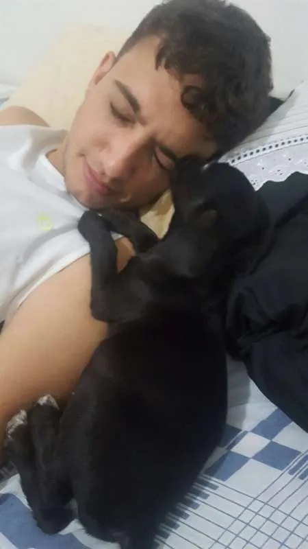Cachorro raça SRD idade 7 a 11 meses nome Maggie