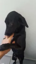 Maggie