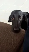 Maggie