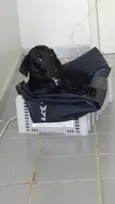 Maggie