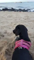Maggie