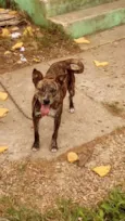 Luma