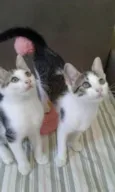 KIKA E KIKI