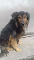 Diego