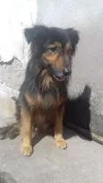 Diego