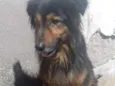 Diego