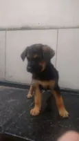 Sol