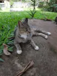 Anita