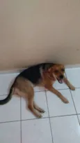 Kiara