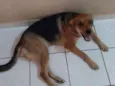 Kiara