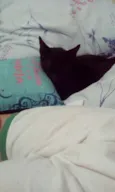 Bastet