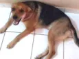 Kiara