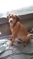Gigi