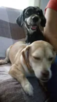 Branquinha