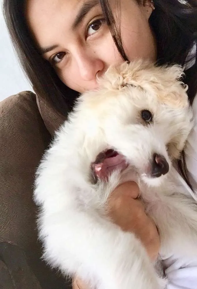 Cachorro ra a Mestiço  idade 2 a 6 meses nome Bitcoin 