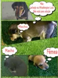 Sem Nome