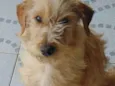 Júpiter