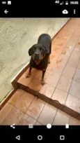 Pandora