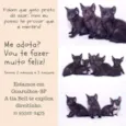 Filhotes