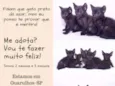 Filhotes