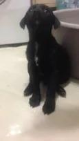 Cissa e Pelezinho