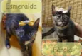 Pérola e Esmeralda