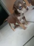 Bella