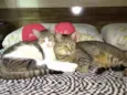 Preta e Branca