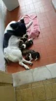 Isco, Bugu, Tuti