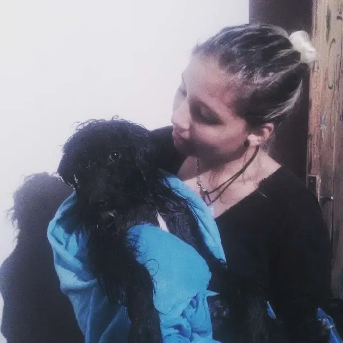 Cachorro ra a Poodle com vira lata idade  nome Dusck