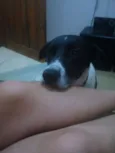 Johnie